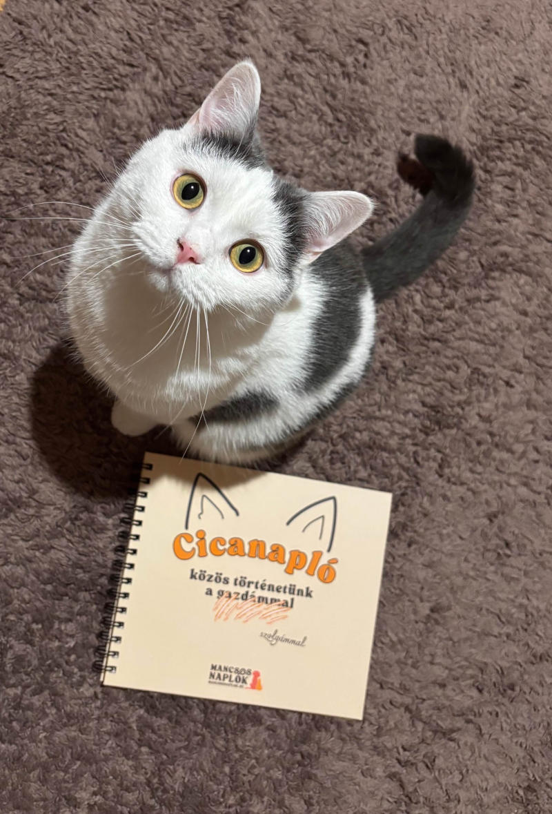 Cicanapló a Mancsos Naplók sorozat részeként, mellette egy macska ül a földön.
