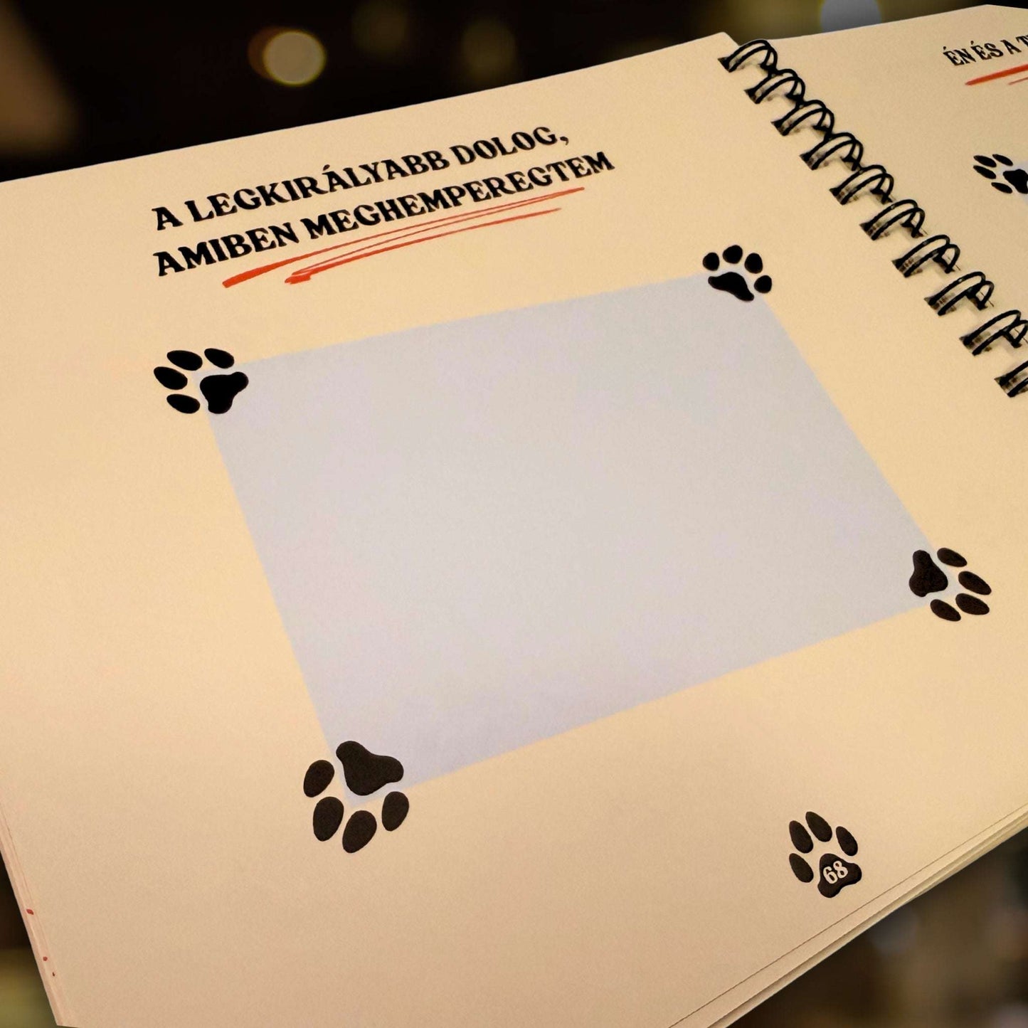 Kutyanapló egyik, 68. belső oldala, "A legkirályabb dolog, amiben meghemperegtem" címmel és beragasztható képnek kihagyott hellyel, mancsokkal.