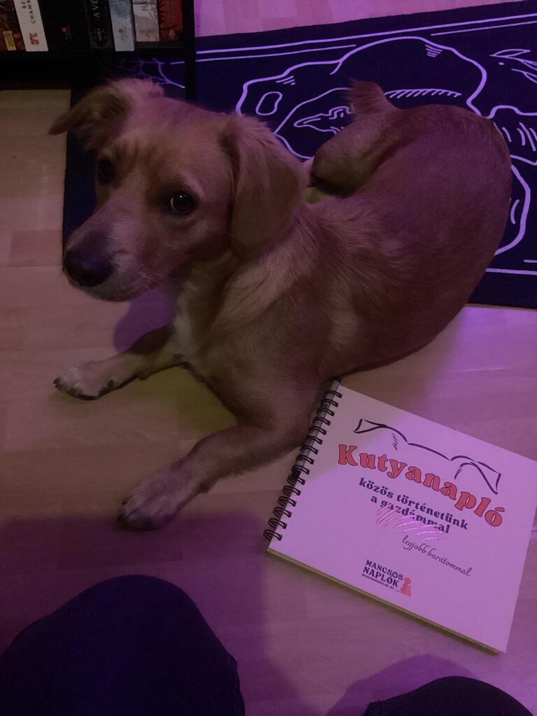 Kutyanapló a Mancsos Naplók sorozat részeként, mellette egy kutya fekszik.