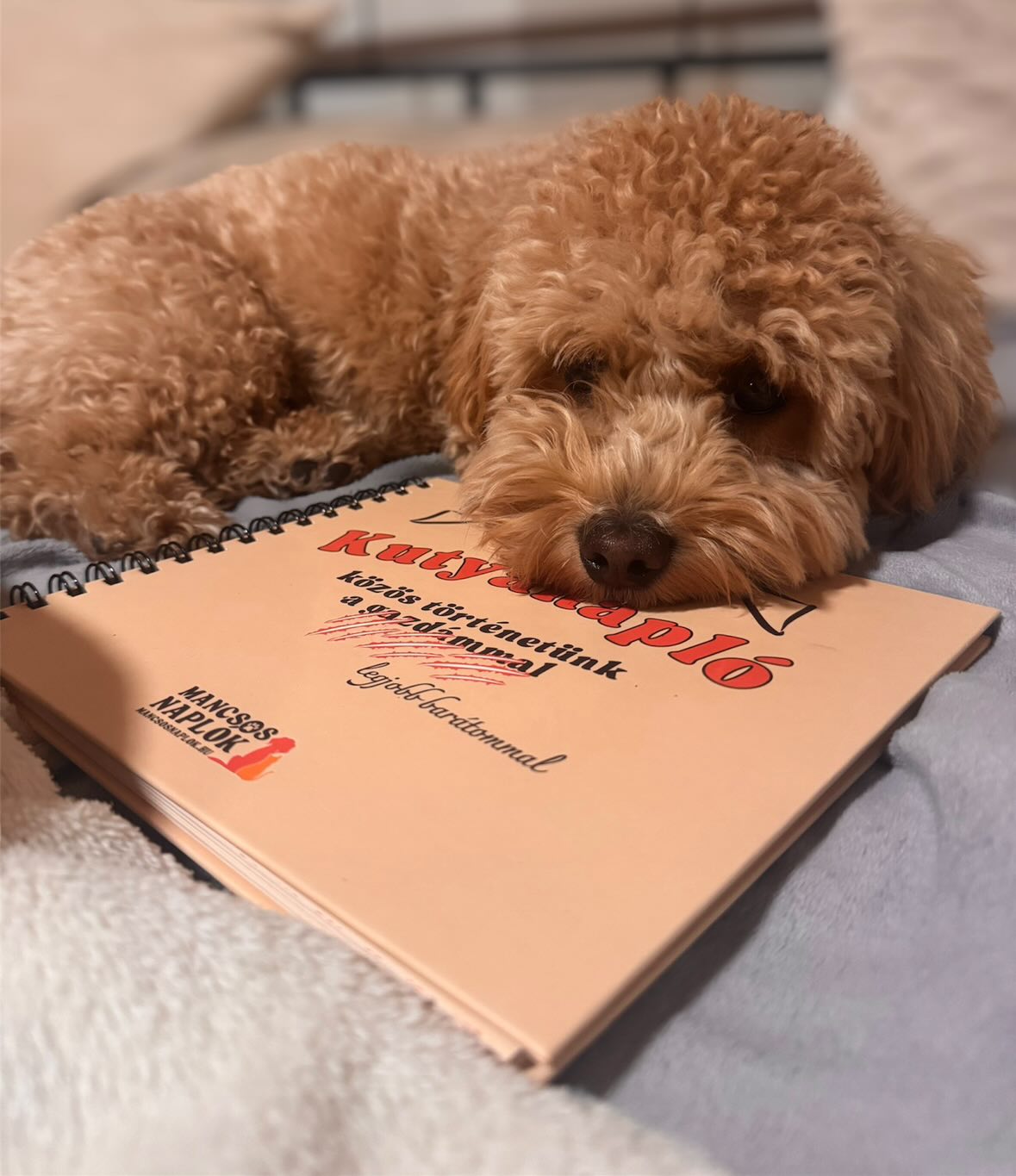 Kutyanapló a Mancsos Naplók sorozat részeként, mögötte egy kutya a fejét rátéve a naplóra pihen.