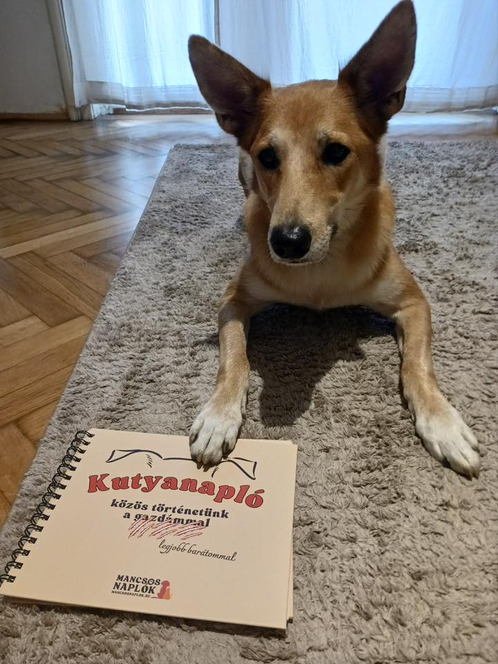 Kutyanapló a Mancsos Naplók sorozat részeként, mögötte egy kutya fekszik mancsával befoglalva a naplót.