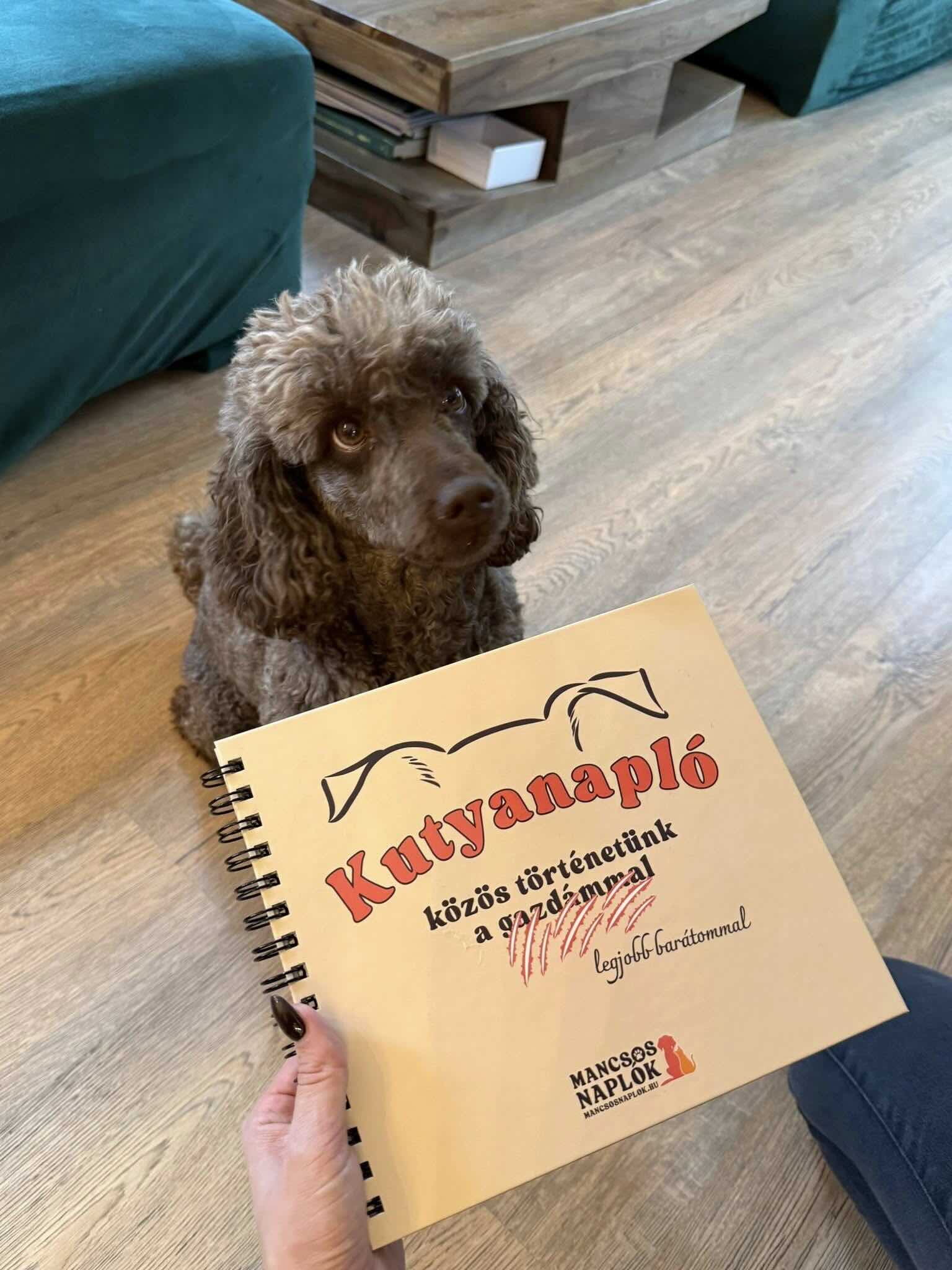 Kutyanapló a Mancsos Naplók sorozat részeként tartva a gazdi kezében, mögötte egy kutya ül és figyel.