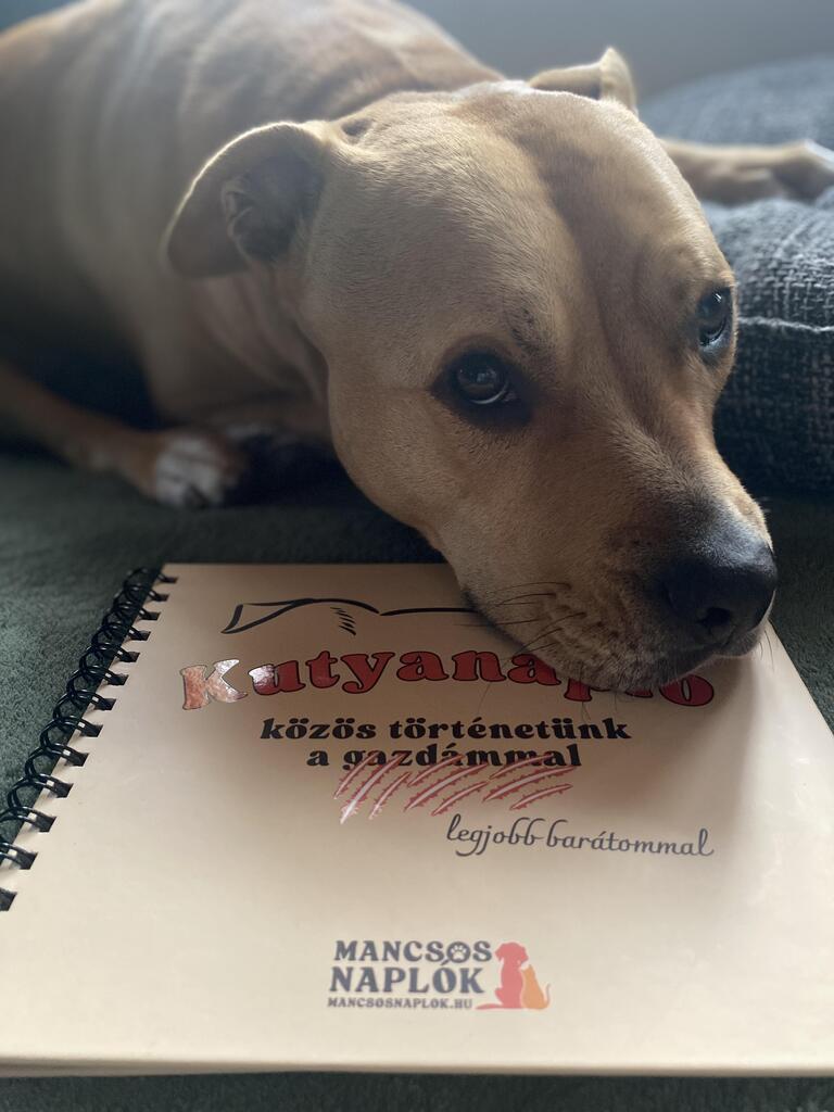 Kutyanapló a Mancsos Naplók sorozat részeként, mögötte egy kutya fekszik és ráteszi a fejét a naplóra.