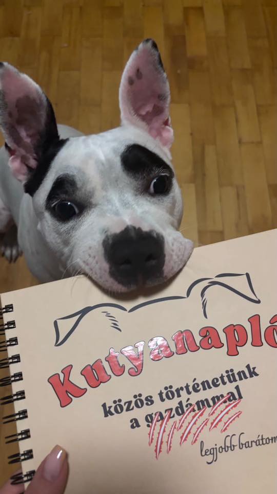 Kutyanapló a Mancsos Naplók sorozat részeként, mögötte egy kutya ráharap a naplóra.