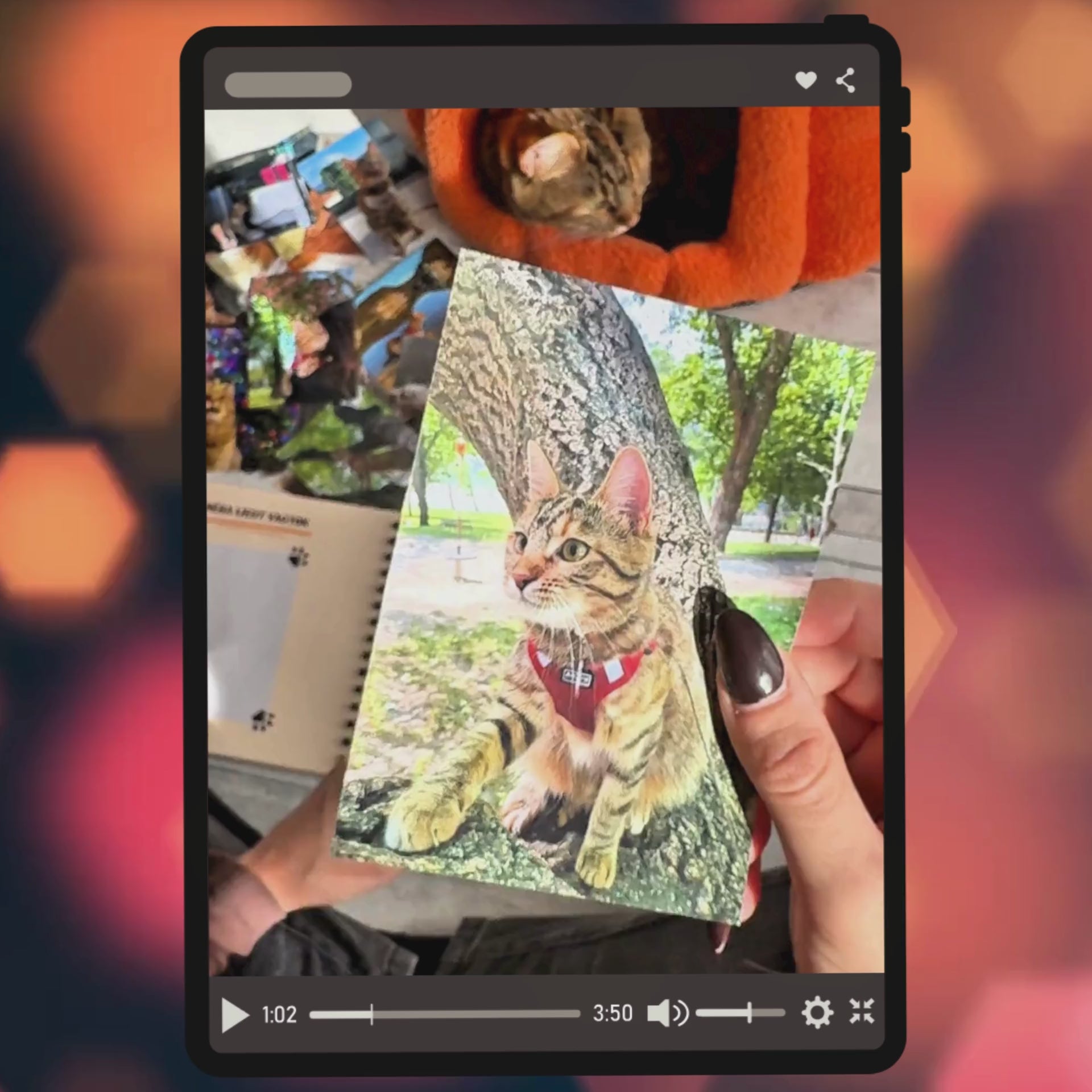 Videó arról, ahogy a Cicanaplóba beragaszt egy lány fényképeket egy cicáról.