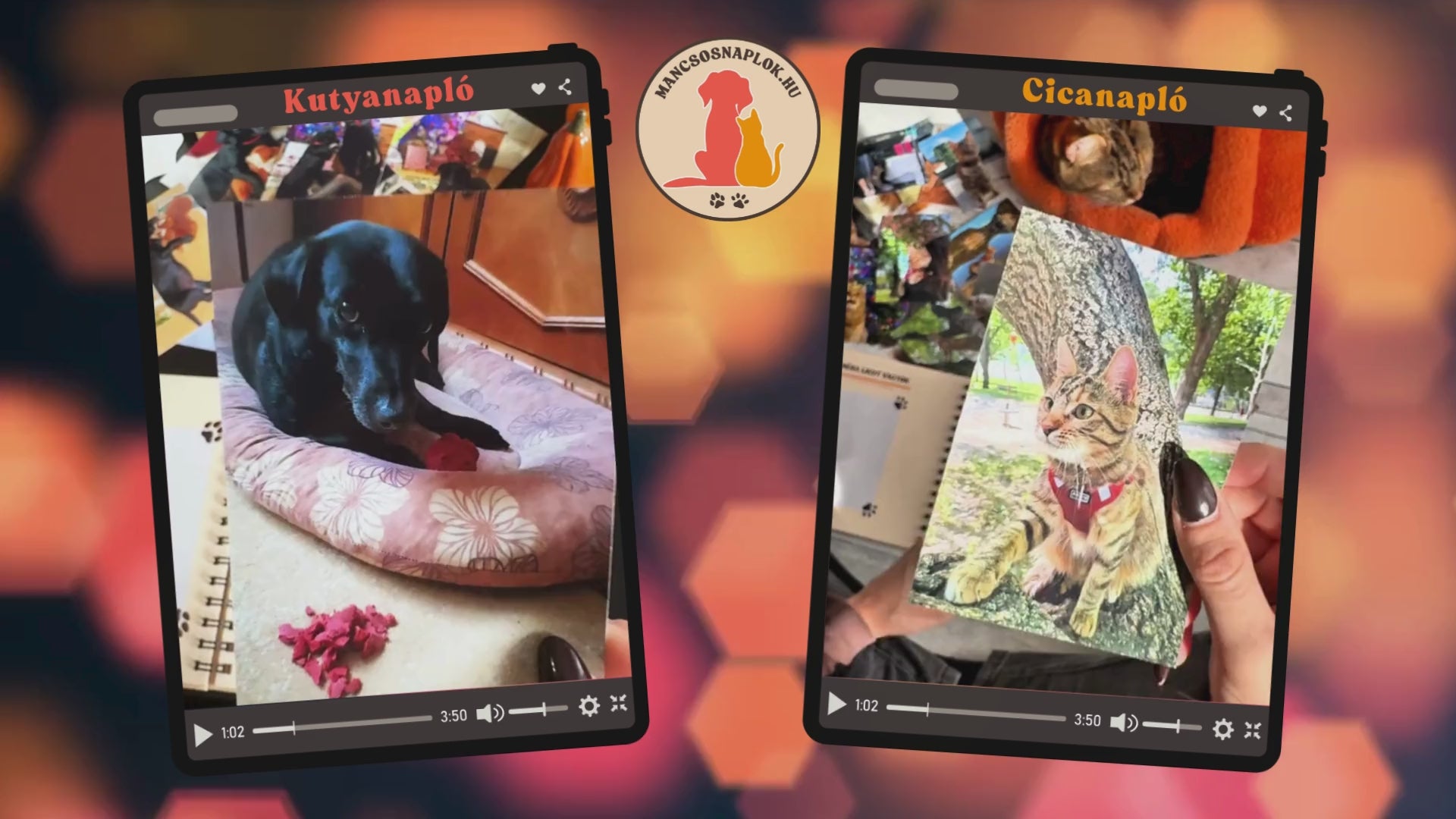 Videó betöltése: Videó arról, ahogy egy lány beragaszt fényképeket egy cicáról a Cicanaplóba és egy kutyáról a Kutyanaplóba.